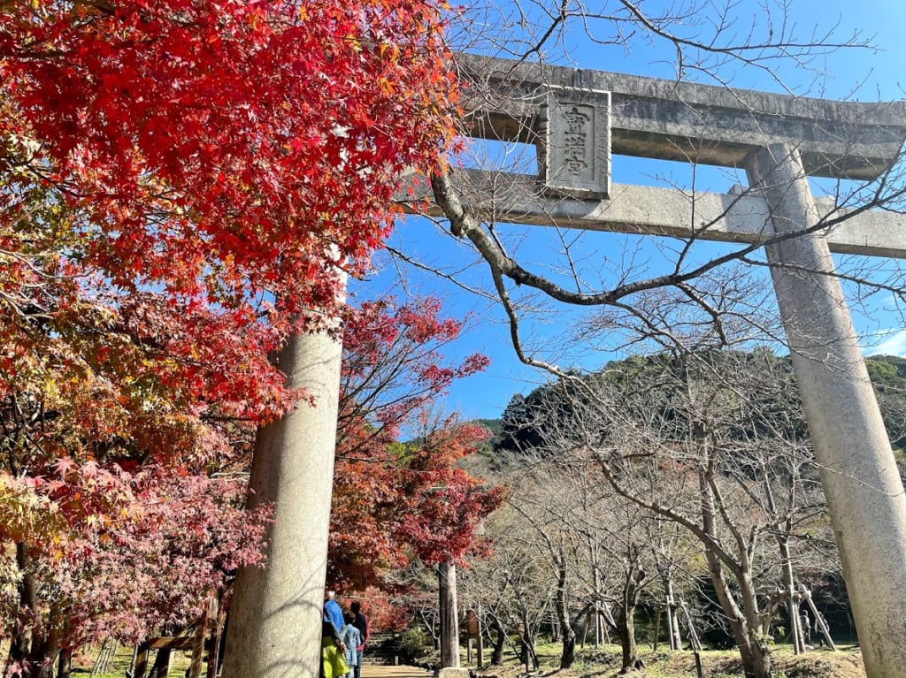 宝満宮竈門神社紅葉