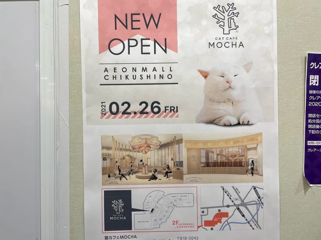 猫カフェオープンのお知らせ