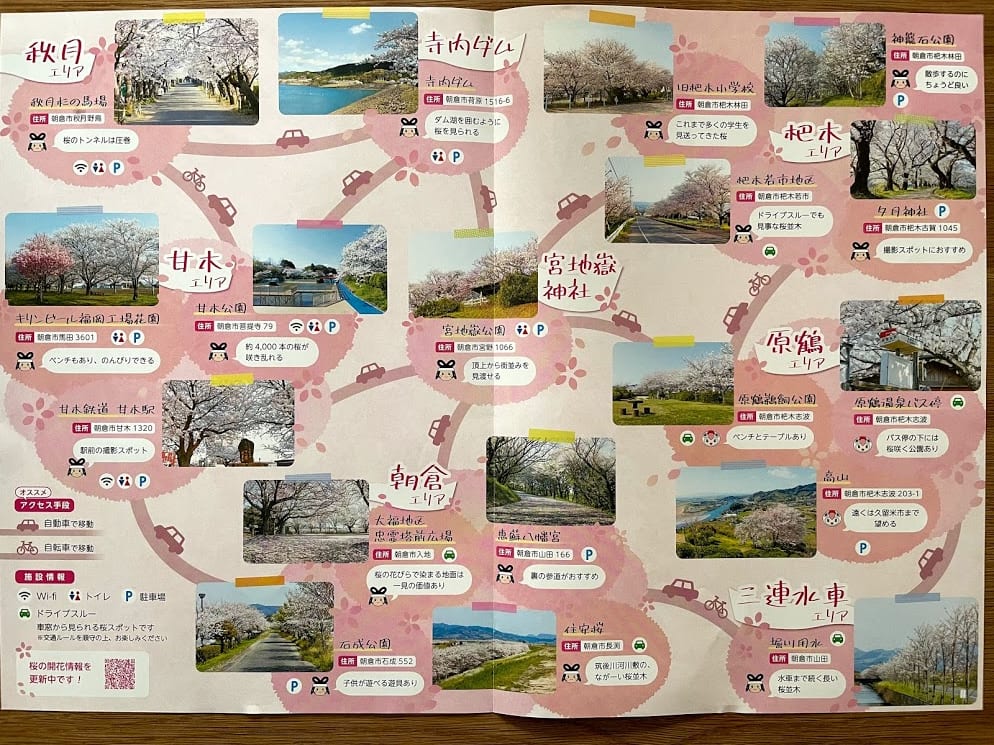 朝倉市 まもなく桜が満開の時期ですね 朝倉市内には桜の名所がたくさんあります 素敵な桜の写真が撮れたらぜひsnsで投稿してみてはいかがですか 号外net 筑紫野市 太宰府市 朝倉市