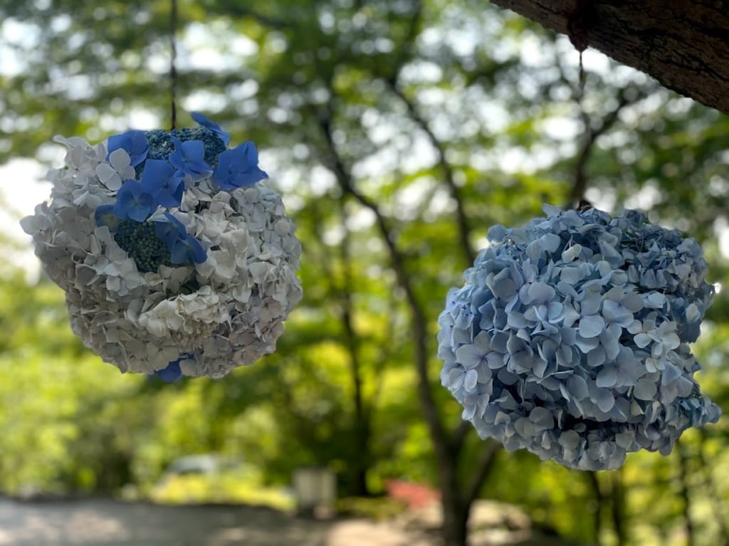 竈門神社-6月