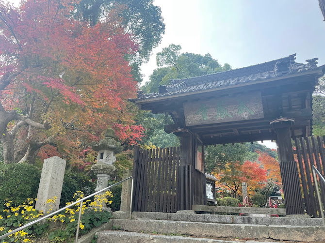 武蔵寺の紅葉