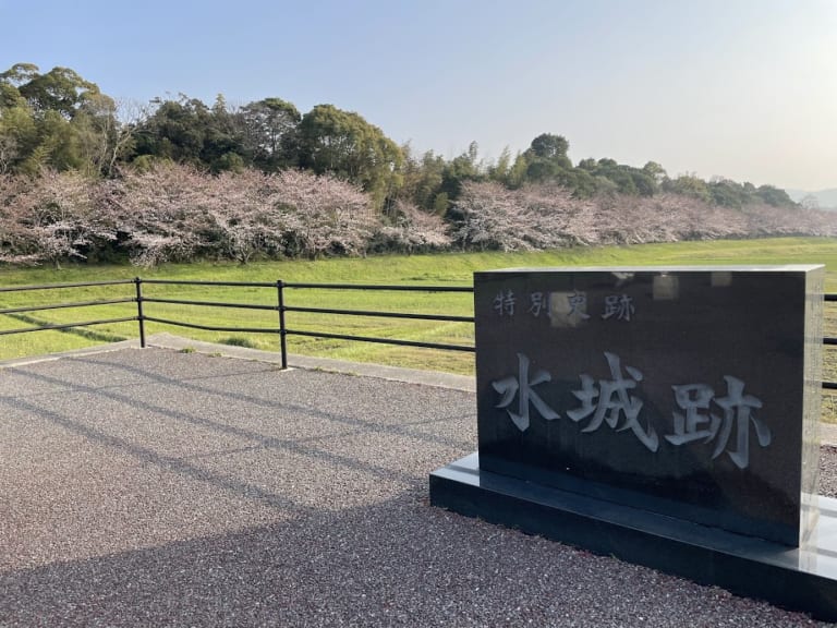 2022年桜の開花状況