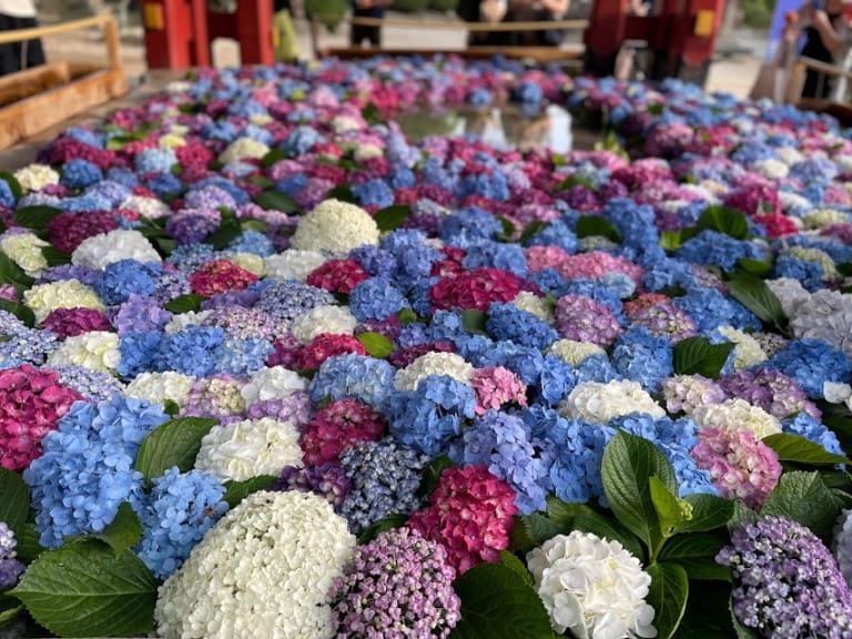 太宰府天満宮の花手水