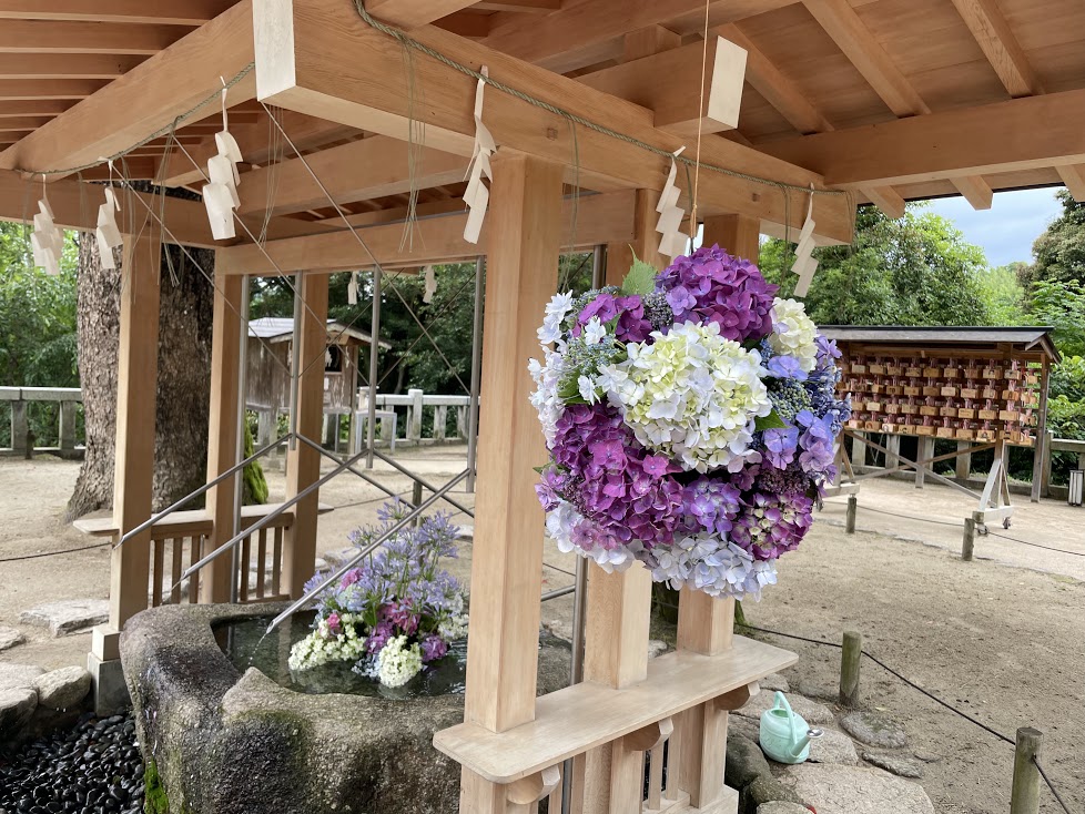 竈門神社-紫陽花飾り