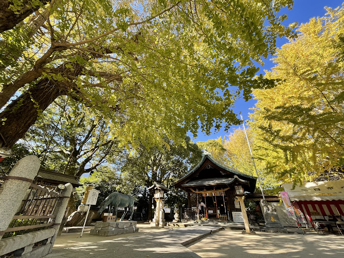 二日市八幡宮公孫樹まつりお知らせ