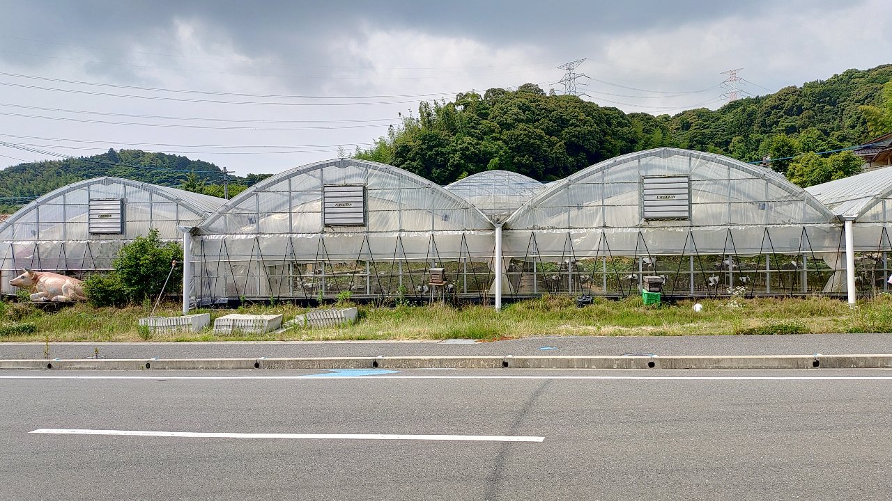 伊勢吉窯向かいのいちご農園