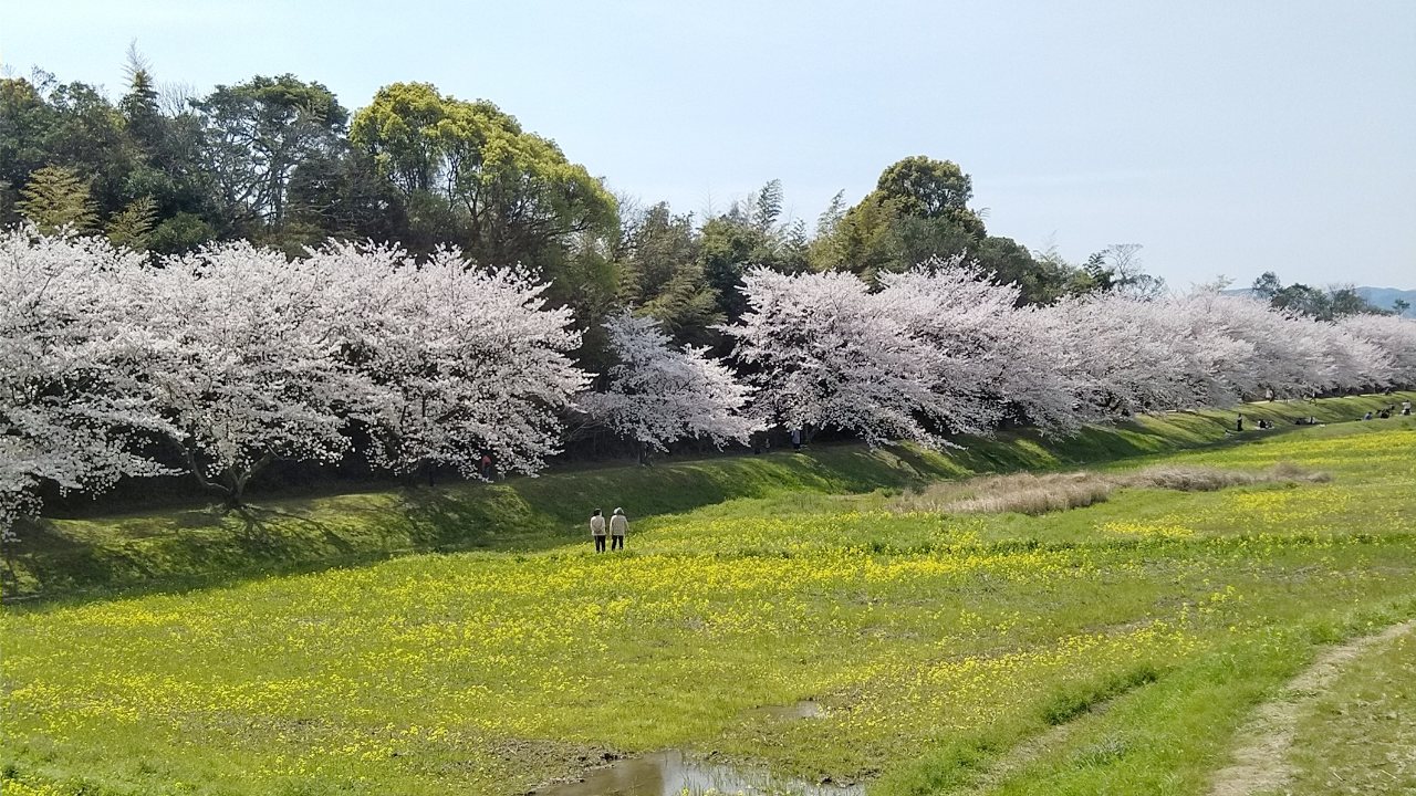 水城跡