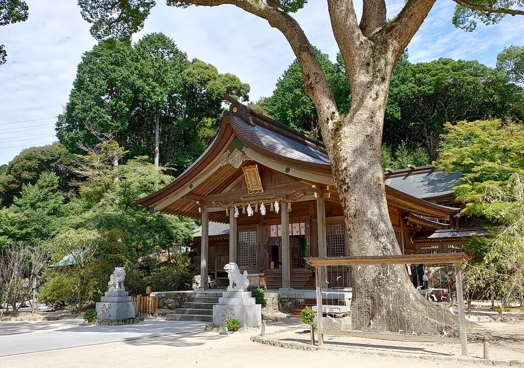 竈門神社の本殿