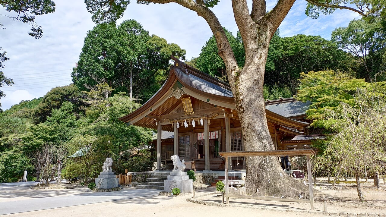 竈門神社の本殿