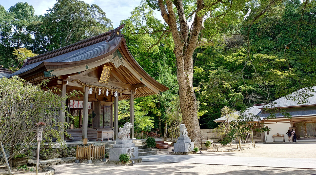 竈門神社の本殿