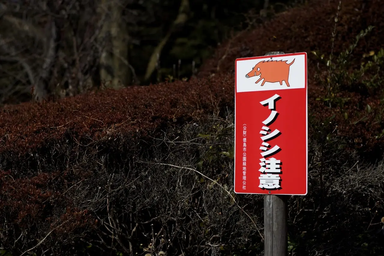 イノシシ注意の看板