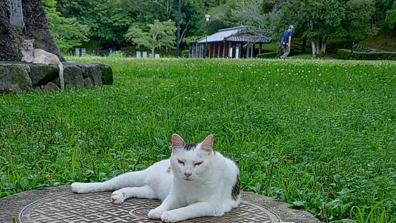 天拝山歴史自然公園