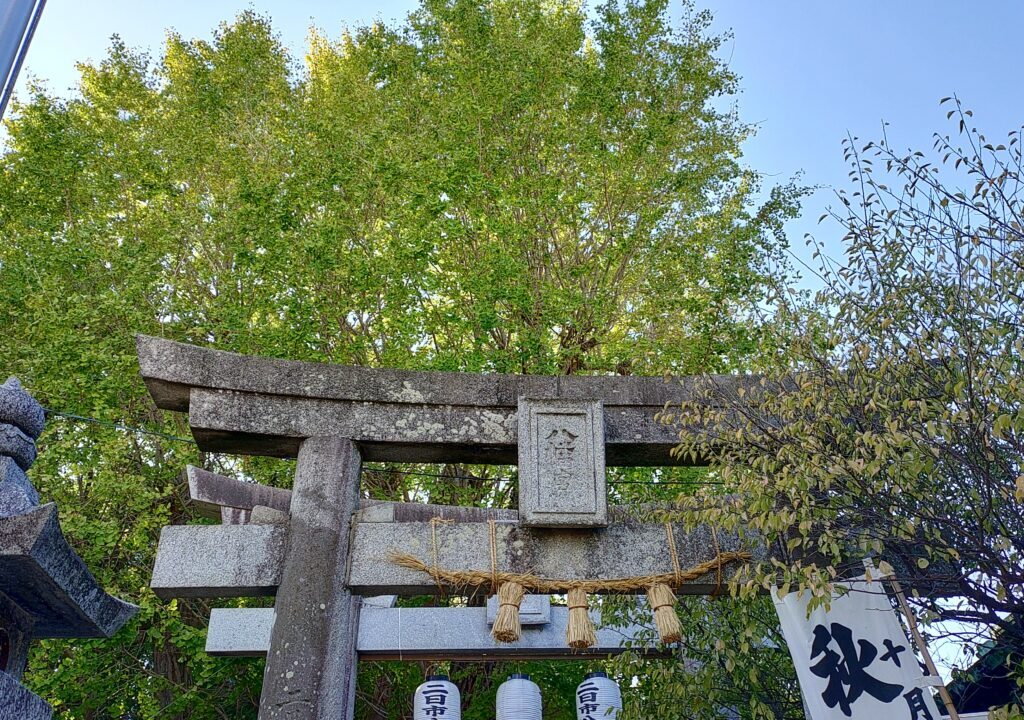 二日市八幡宮の鳥居と御神木のイチョウ