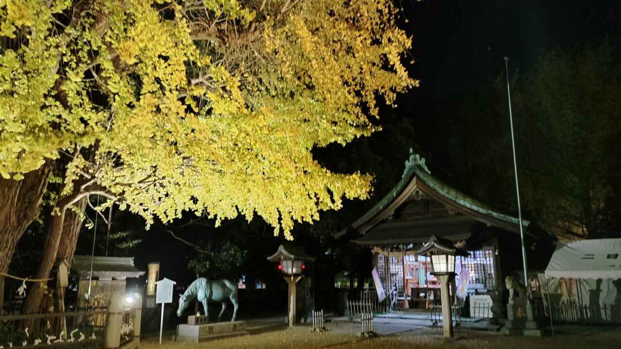 二日市八幡宮のライトアップされた公孫樹