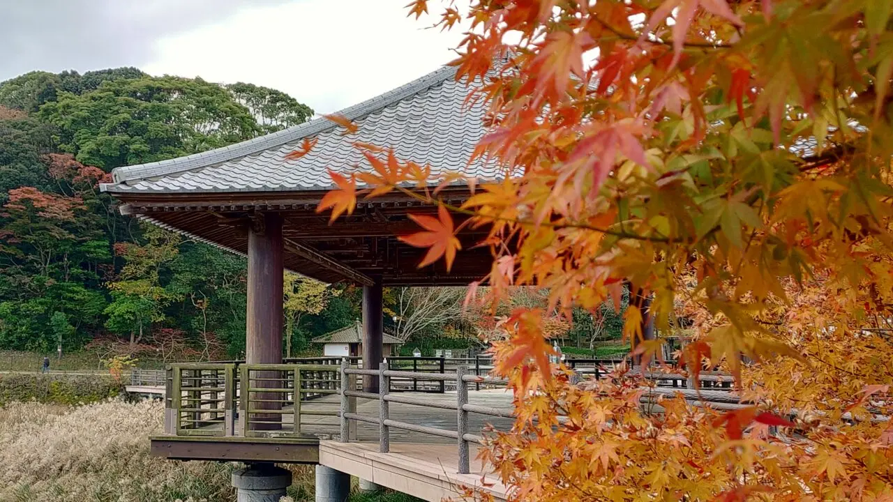 天拝山歴史自然公園の紅葉