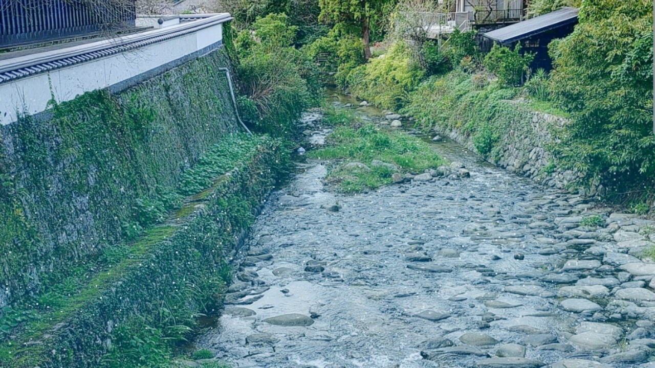 秋月の野鳥川