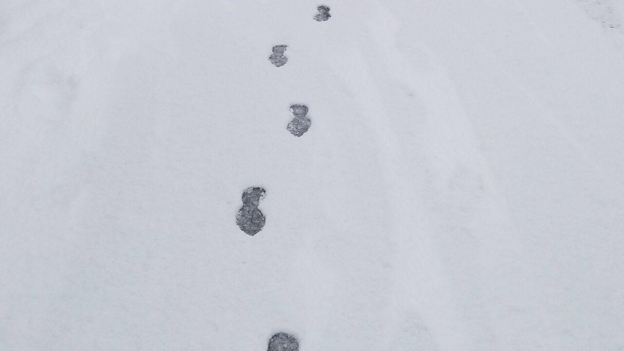 令和6年の積雪時の画像