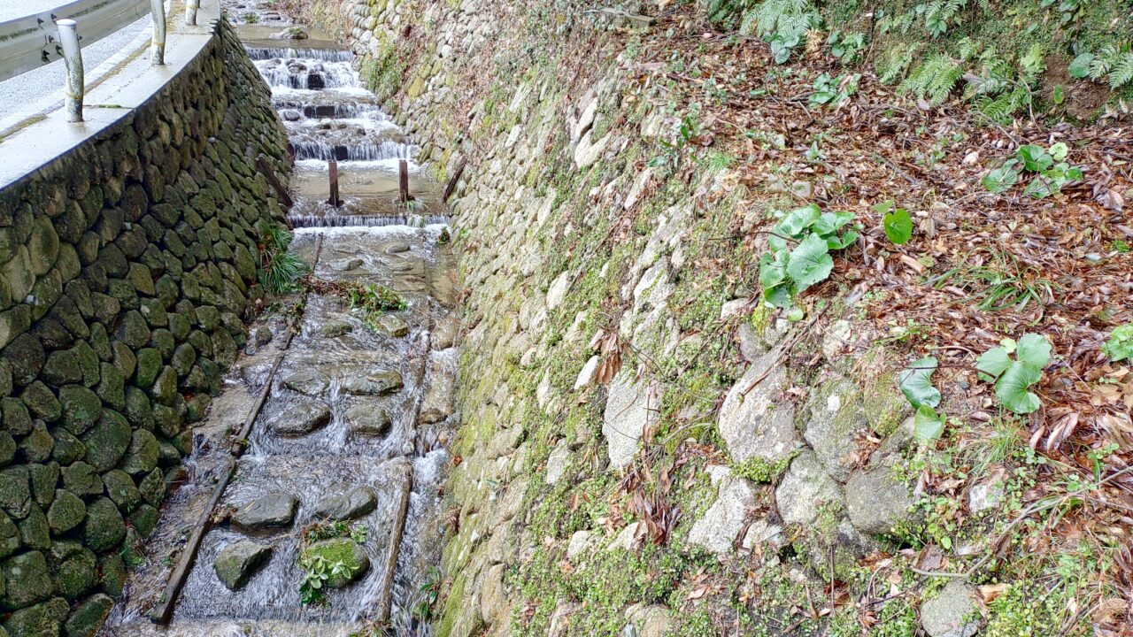 竈門神社から有智山荘までの道