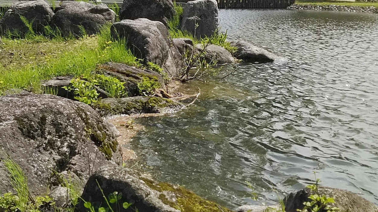 あまぎ水の文化村