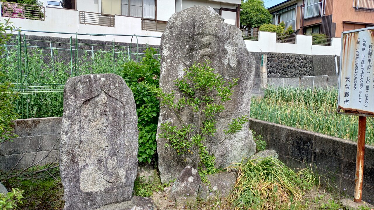針摺石