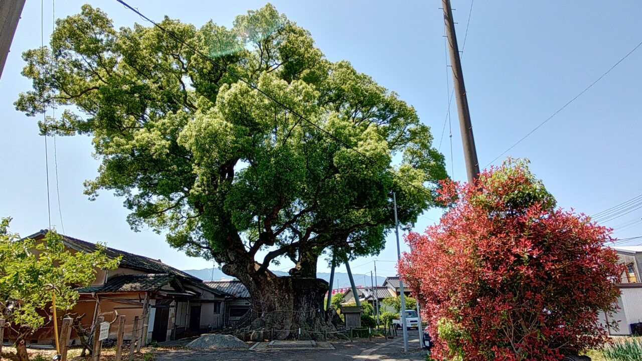 隠家森