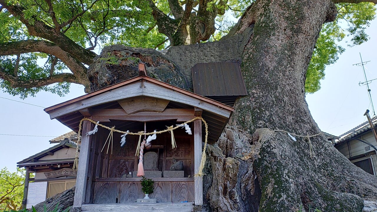 隠家森の祠