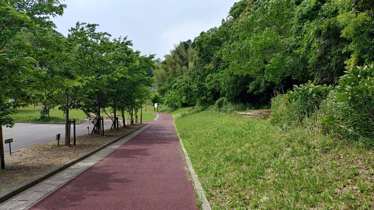 高尾公園のウォーキングコース