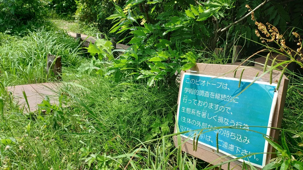 高雄公園のビオトープ