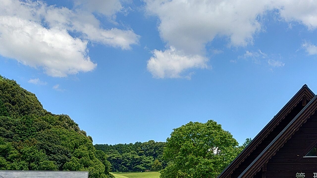 夏の空