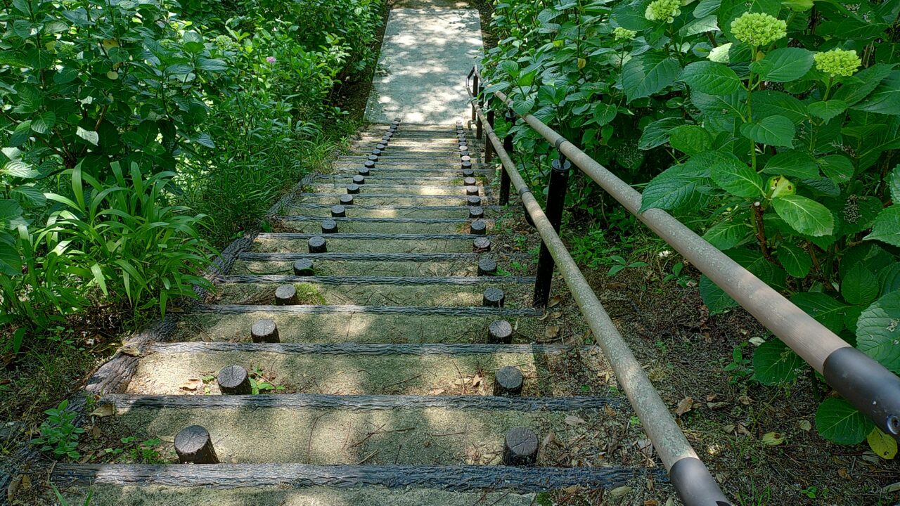 天拝公園あじさい園