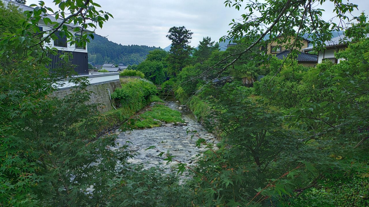 秋月の野鳥川