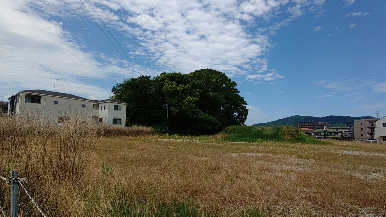 ドラモリ建設予定地