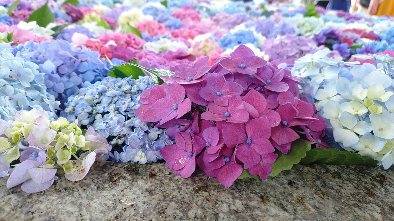 太宰府天満宮の花手水