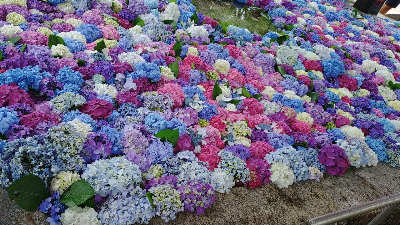 太宰府天満宮の花手水