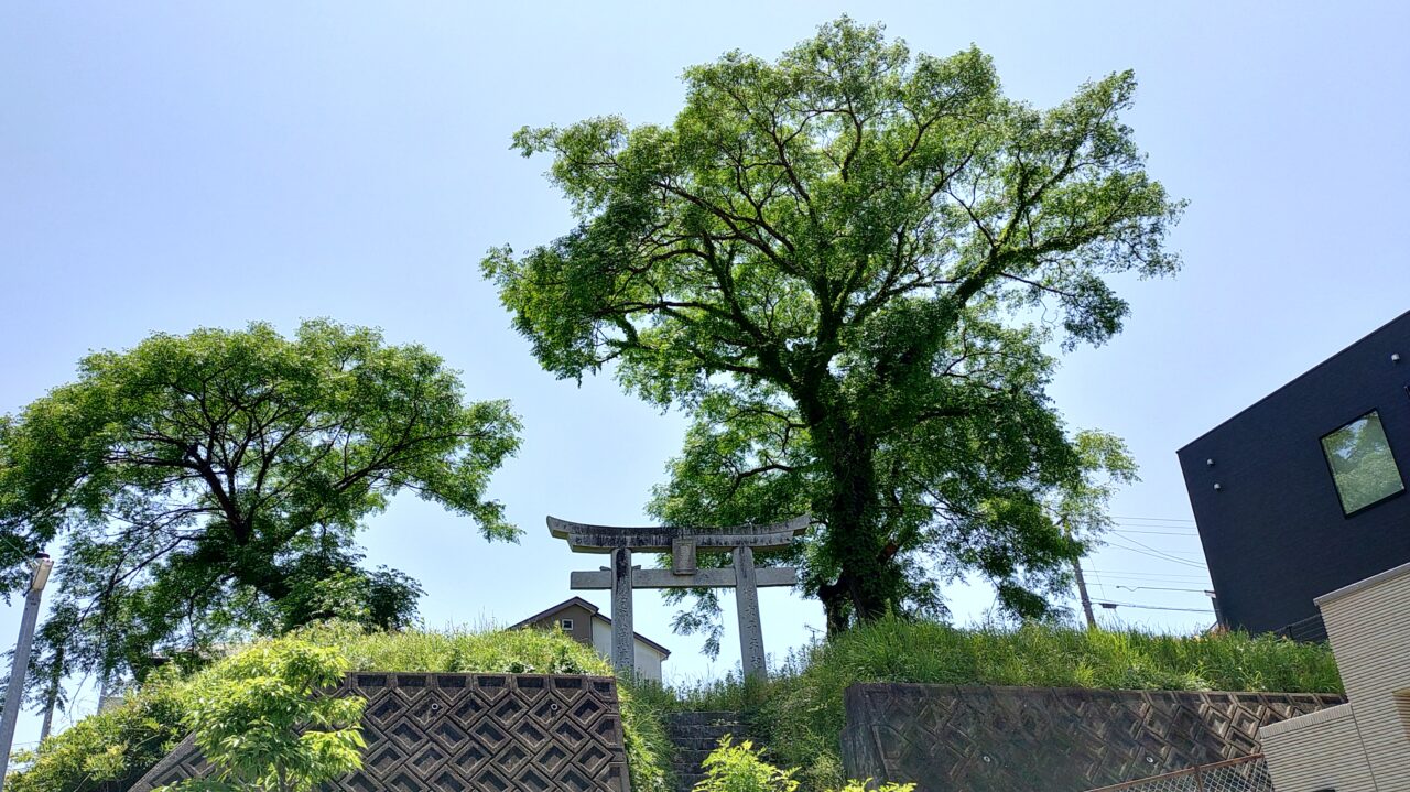 下から見た菅原神社
