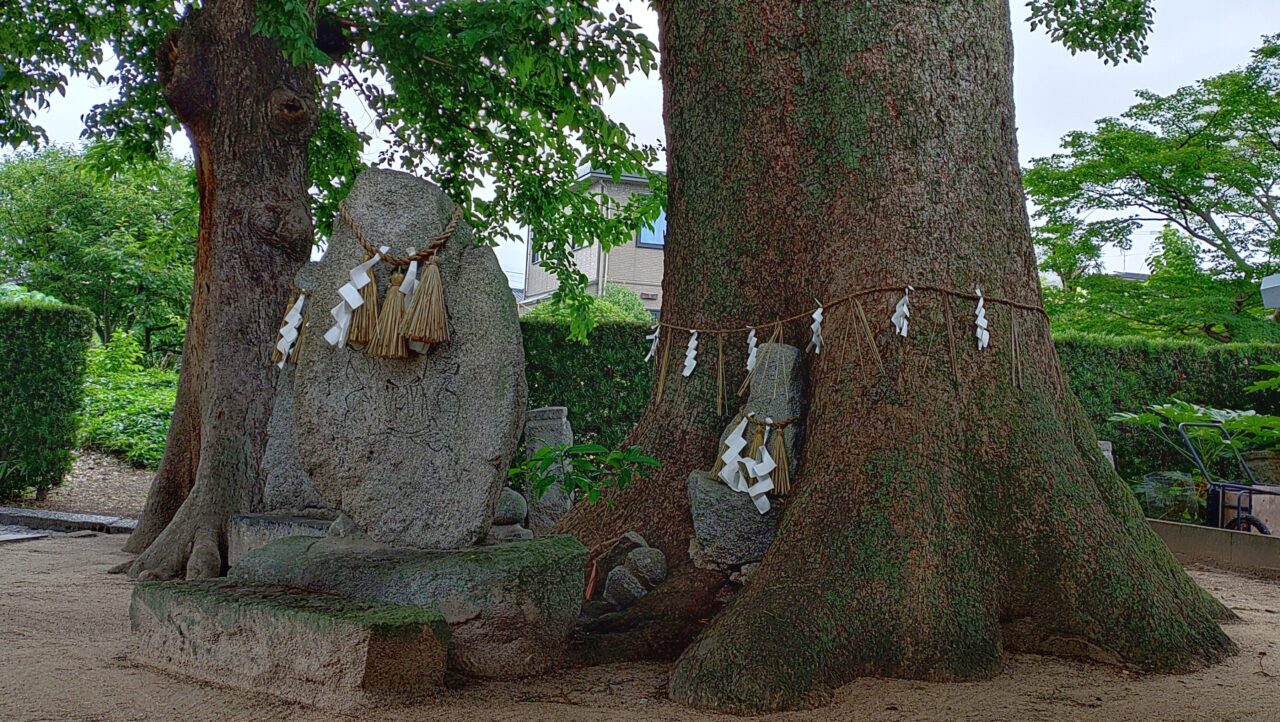 王城神社の御神木とえびす像