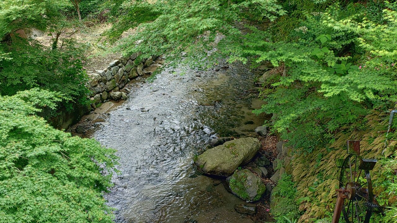 秋月の野鳥川