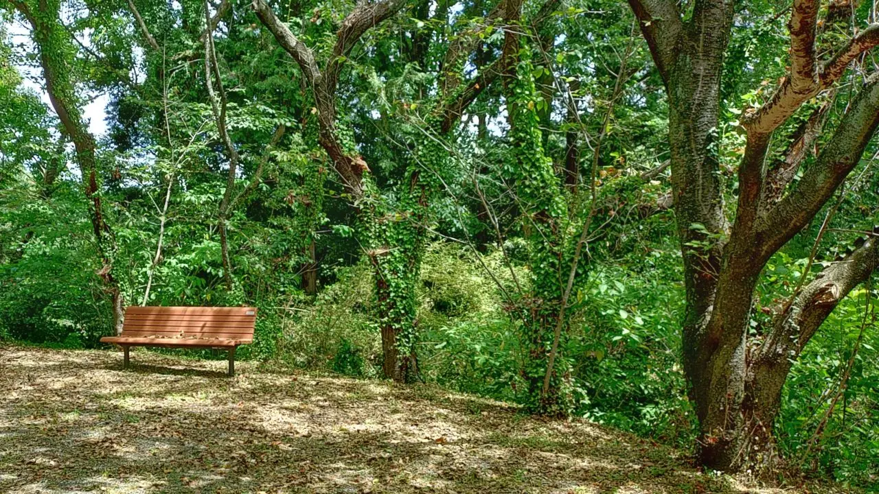 公園のベンチ