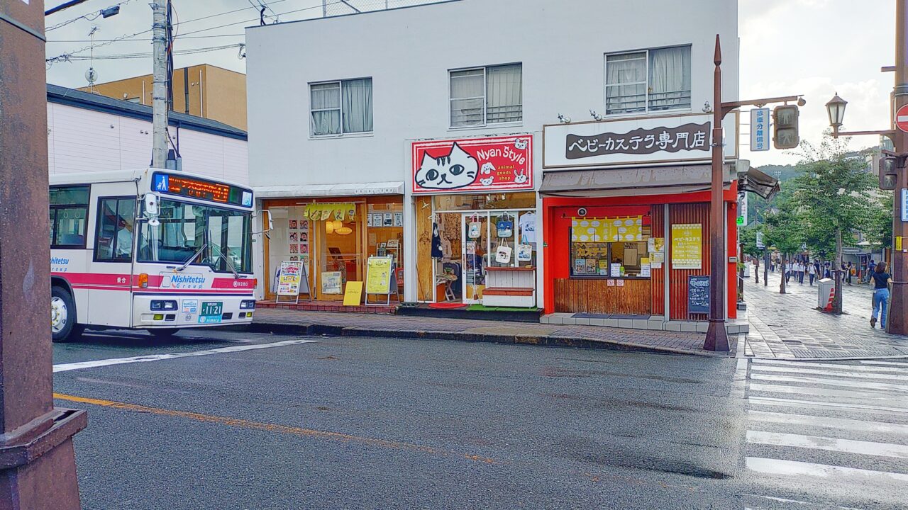 cotontocoの外観