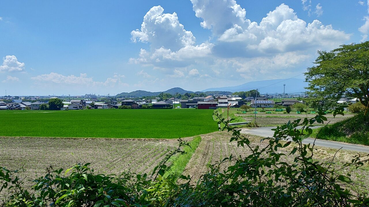 仙道古墳からの眺め