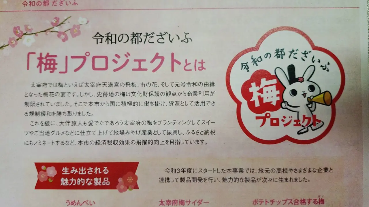 「梅プロジェクトとは」のチラシ