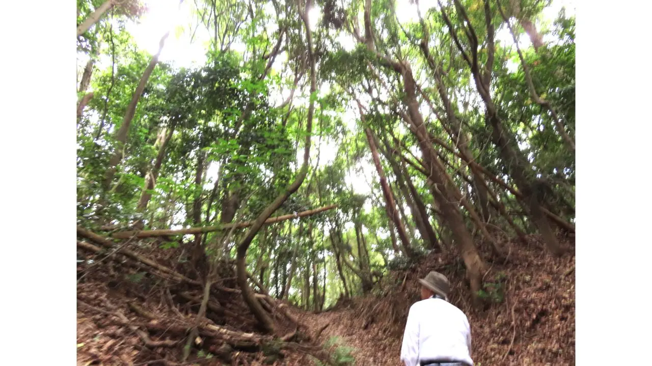 文化財小ツアー