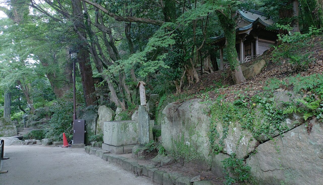 「梅の種」納め所