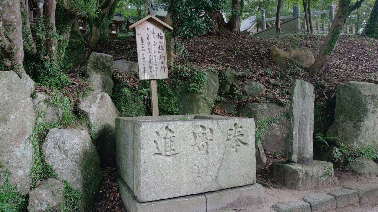 「梅の種」納め所