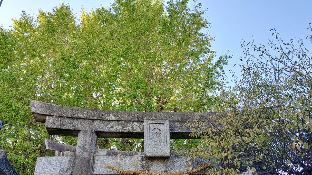 二日市八幡宮の御神木の公孫樹