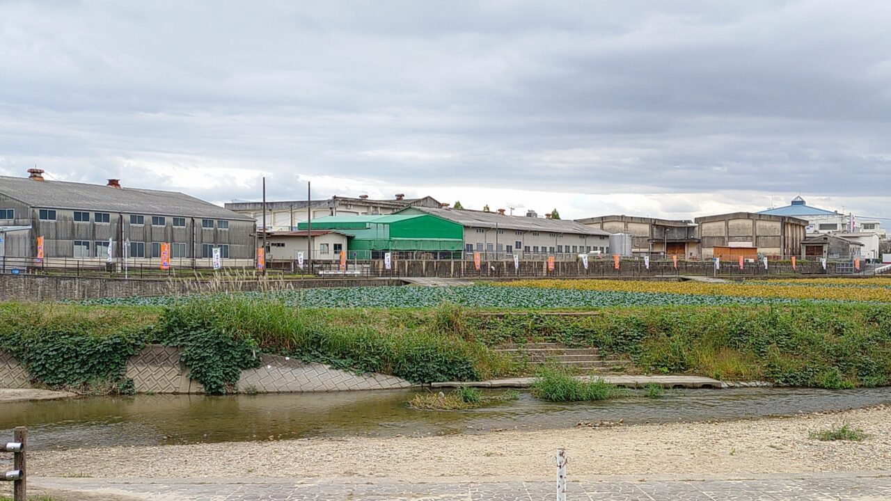 安の里公園横の川