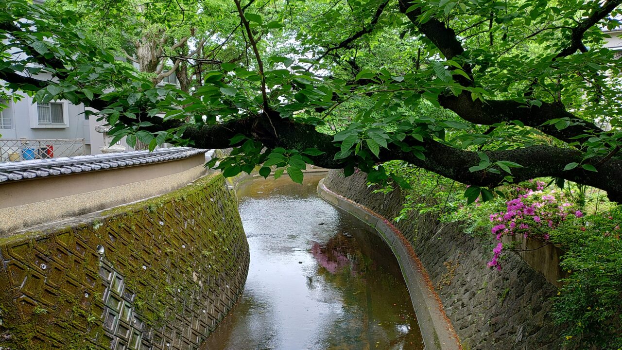 にしてつ通りの空き地の裏にある川