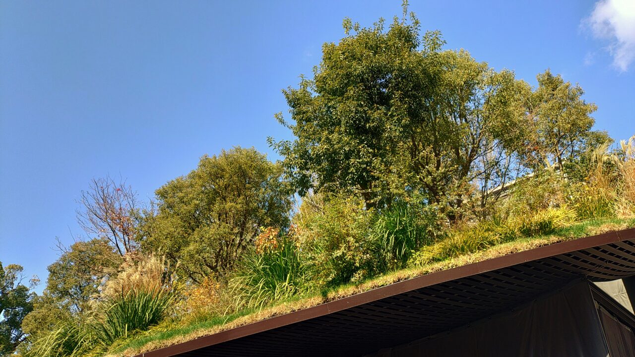 太宰府天満宮の仮殿