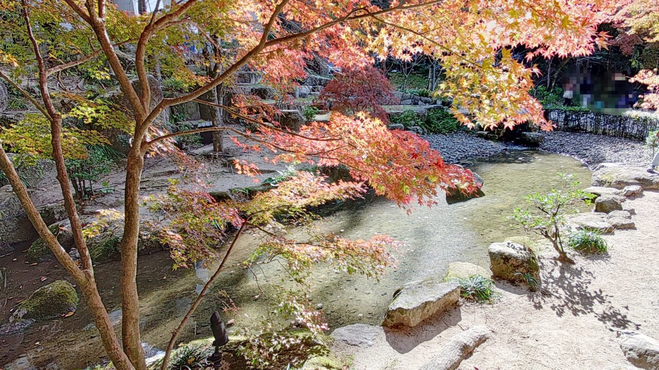 竈門神社の紅葉