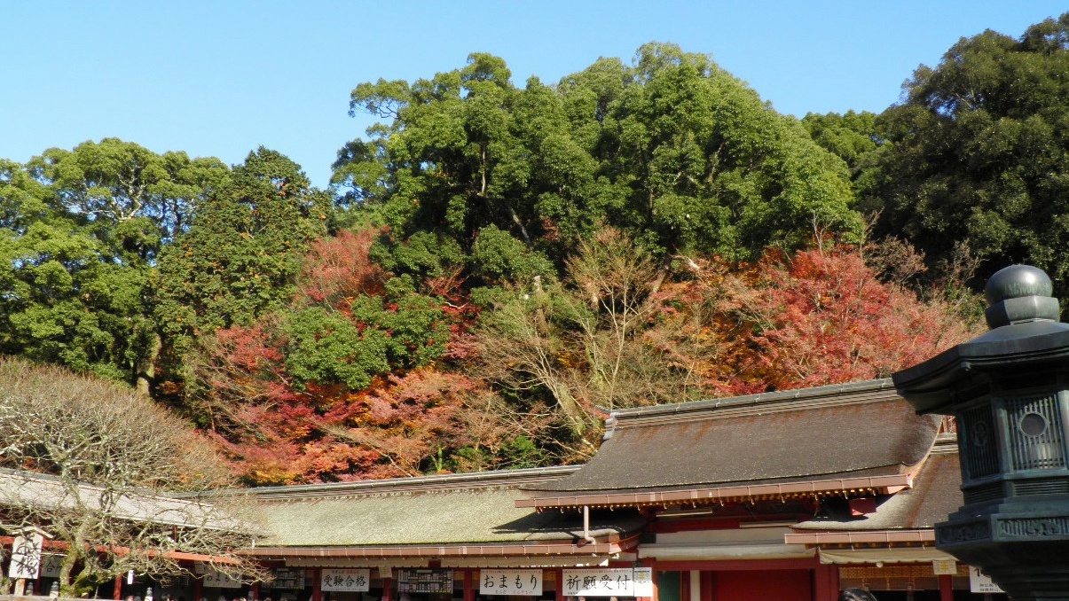 太宰府天満宮の紅葉